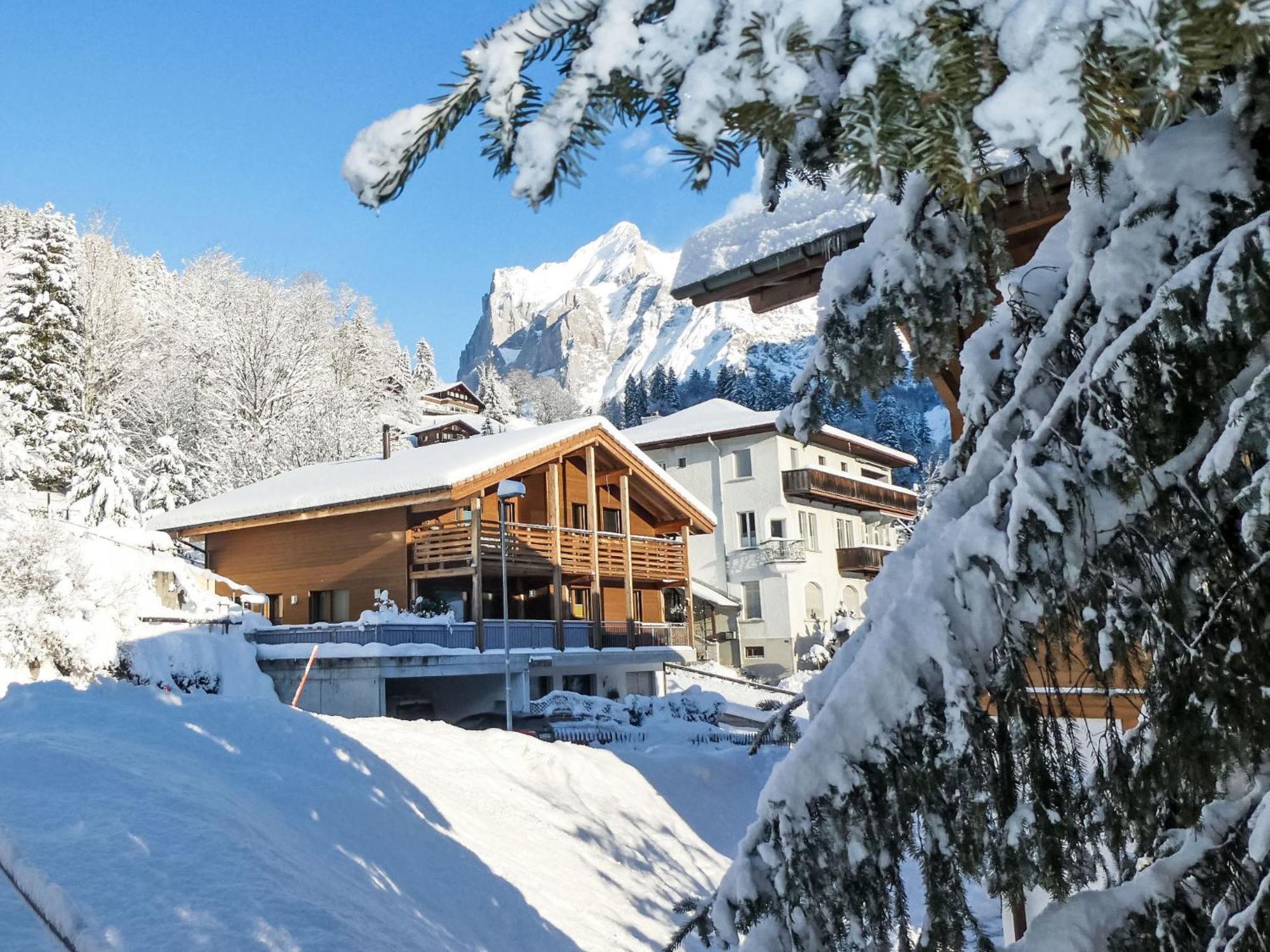 Apartment Chalet La Muntaniala By Interhome Grindelwald Buitenkant foto